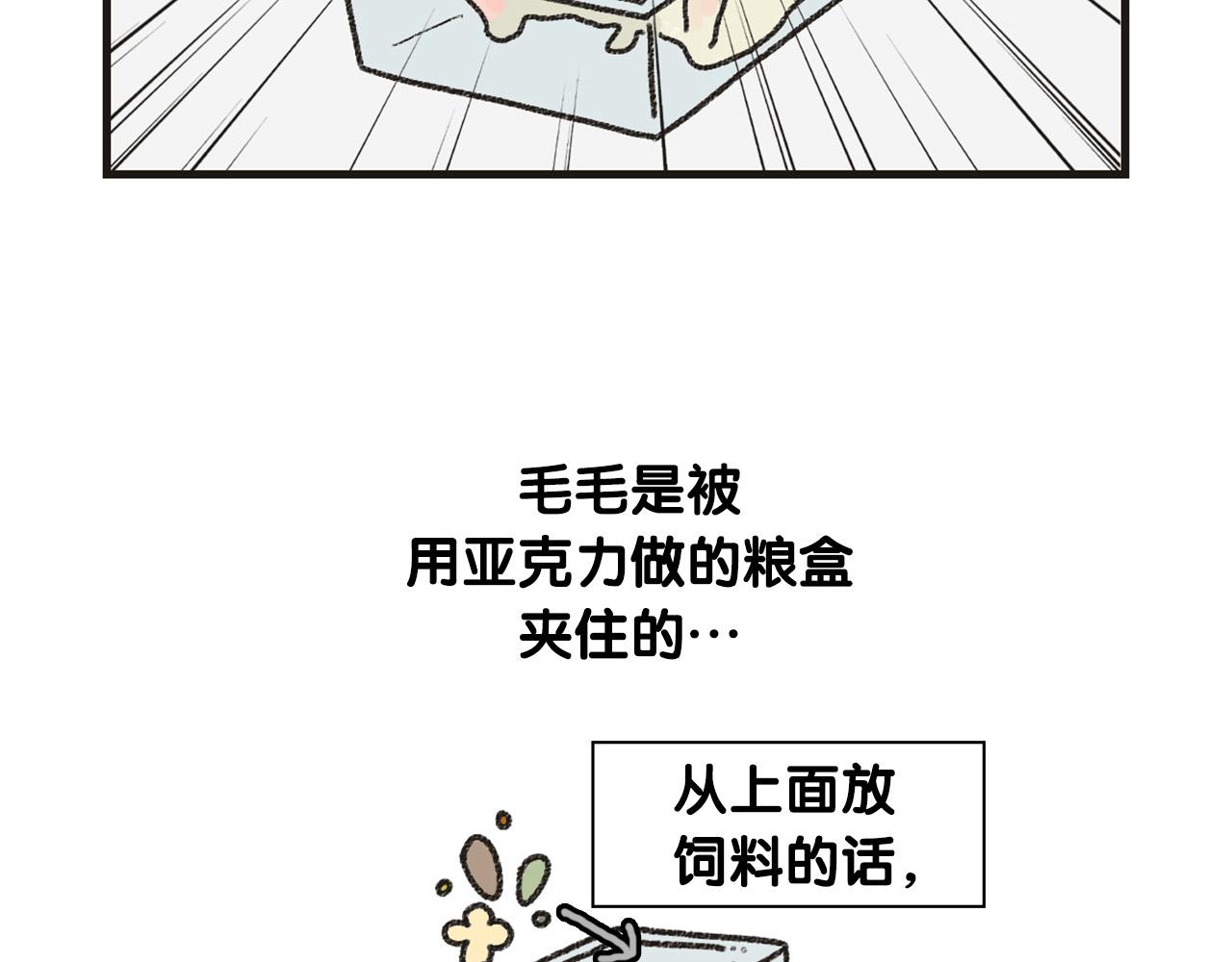 番外1 毛毛登场！47