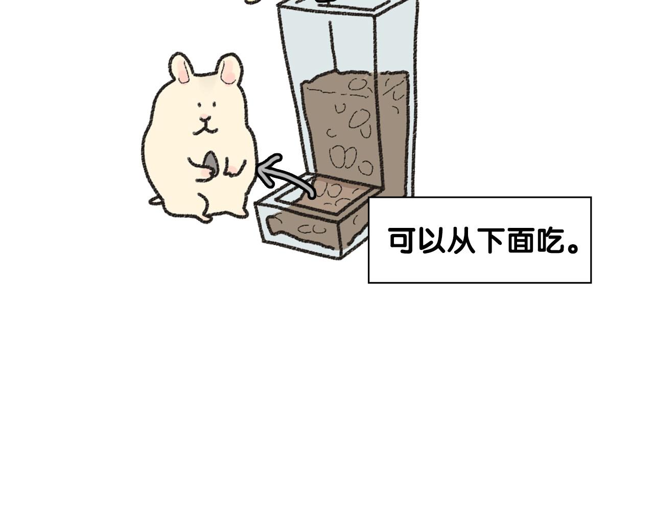 番外1 毛毛登场！48