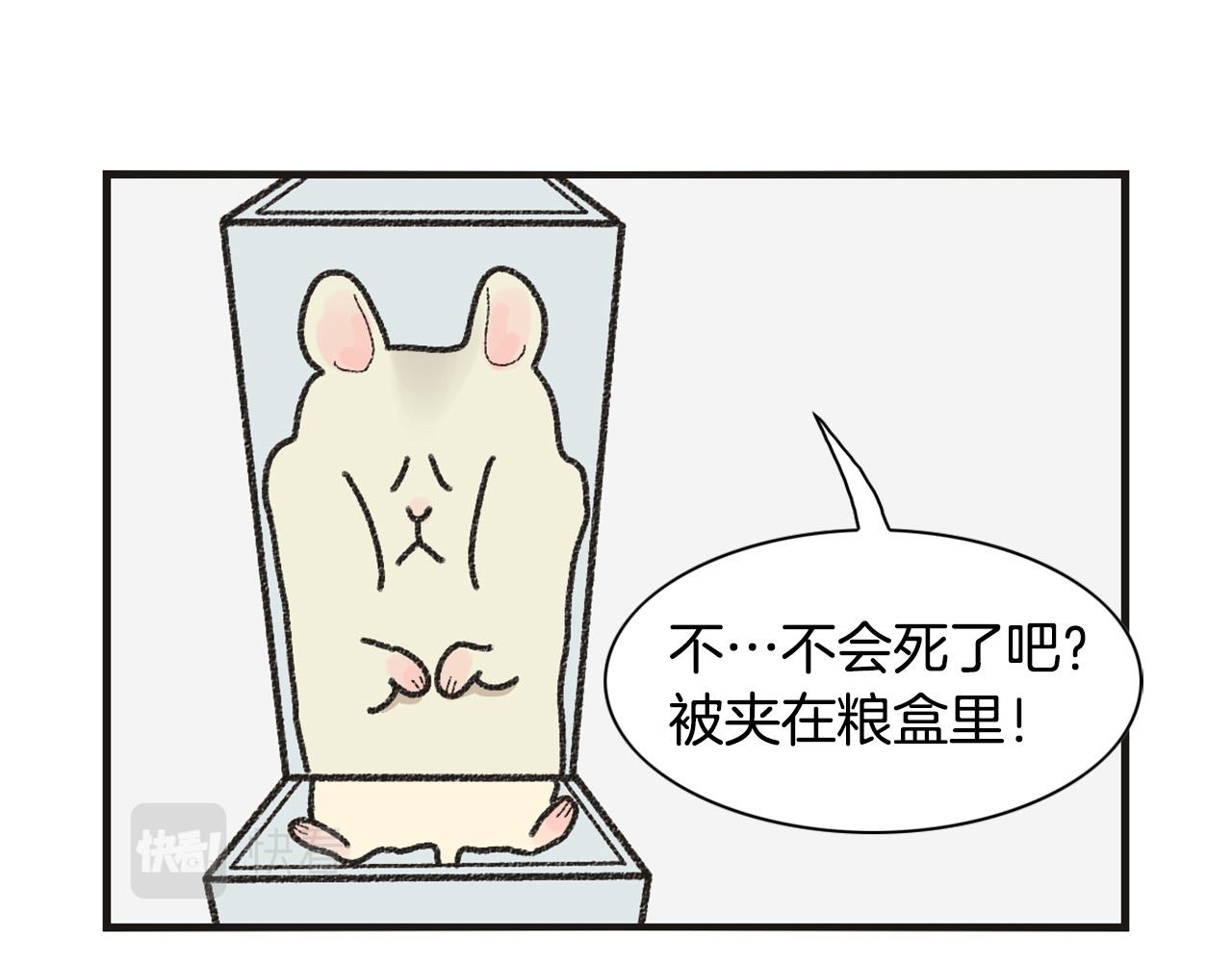 番外1 毛毛登场！49
