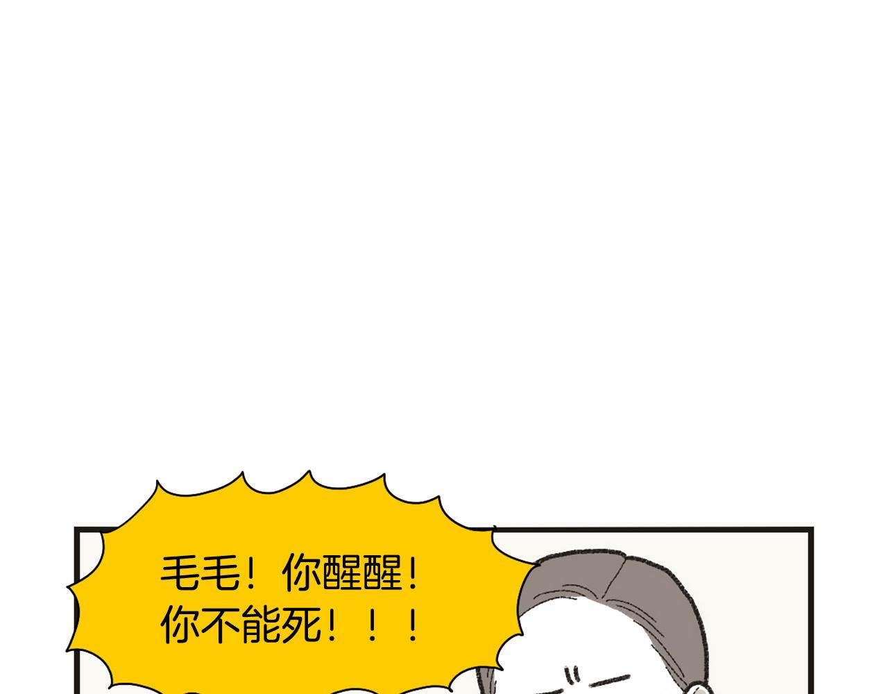 番外1 毛毛登场！54