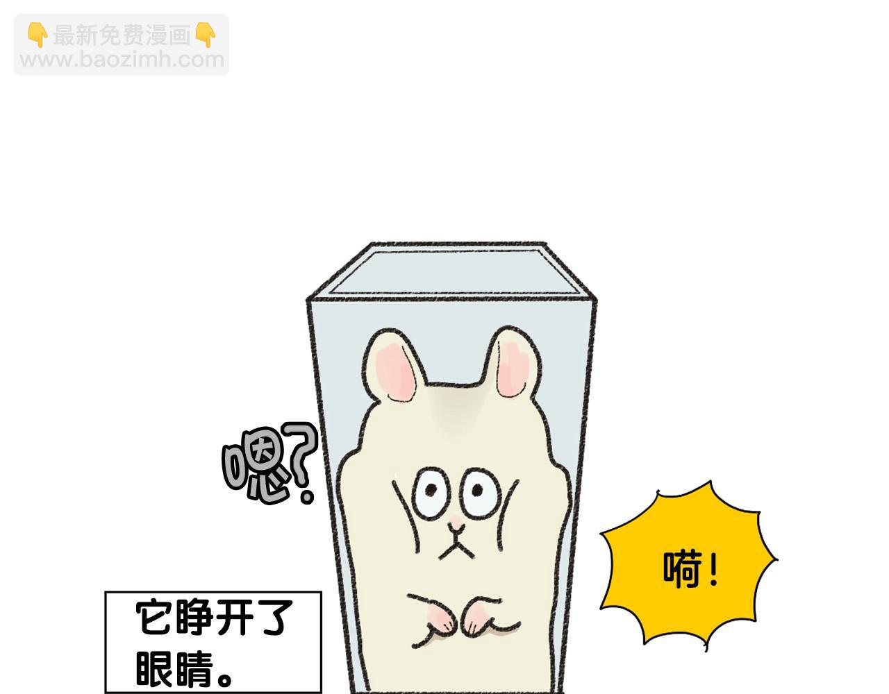 番外1 毛毛登场！56