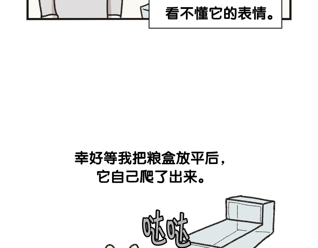 番外1 毛毛登场！59