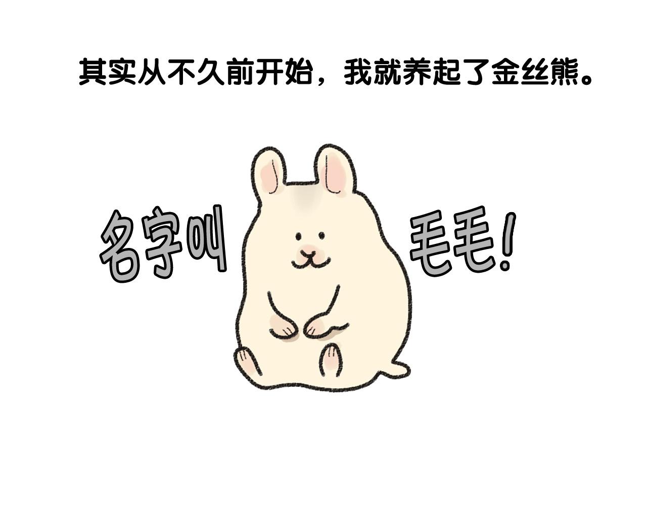 番外1 毛毛登场！6