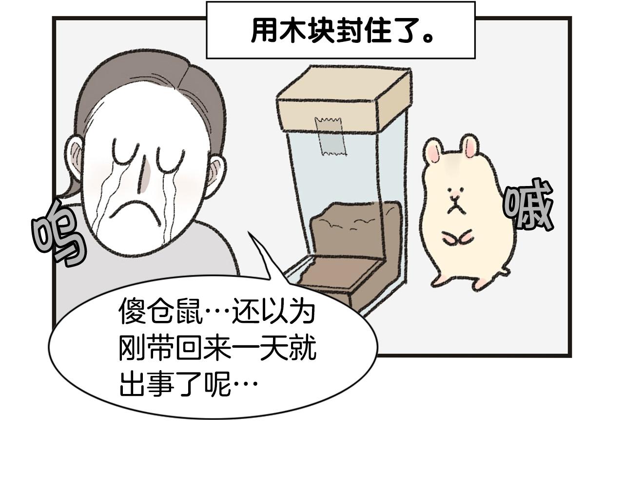 番外1 毛毛登场！61