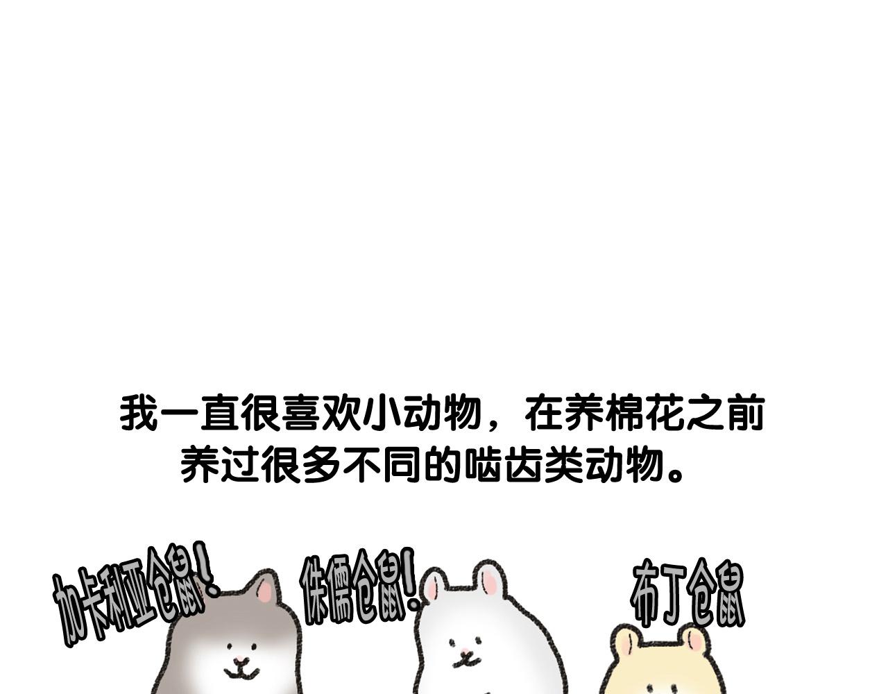 番外1 毛毛登场！7