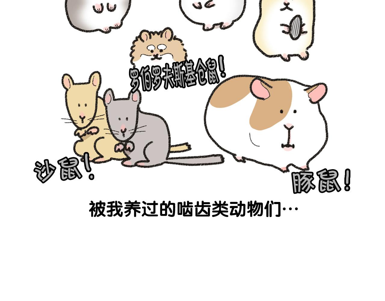 番外1 毛毛登场！8