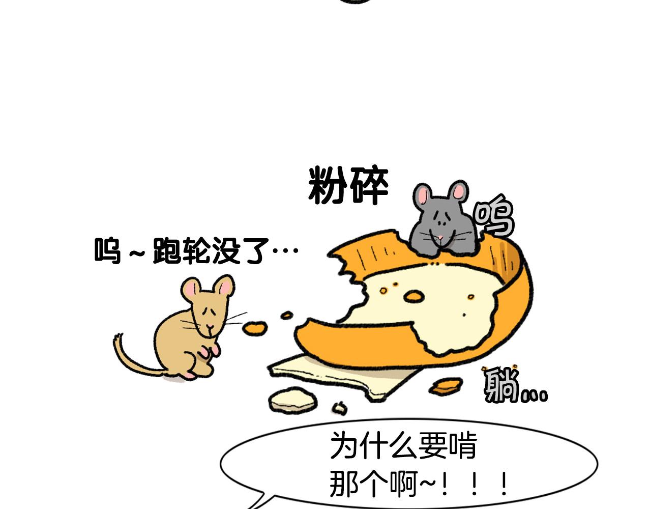 完结篇番外5 请勿随意弃养11