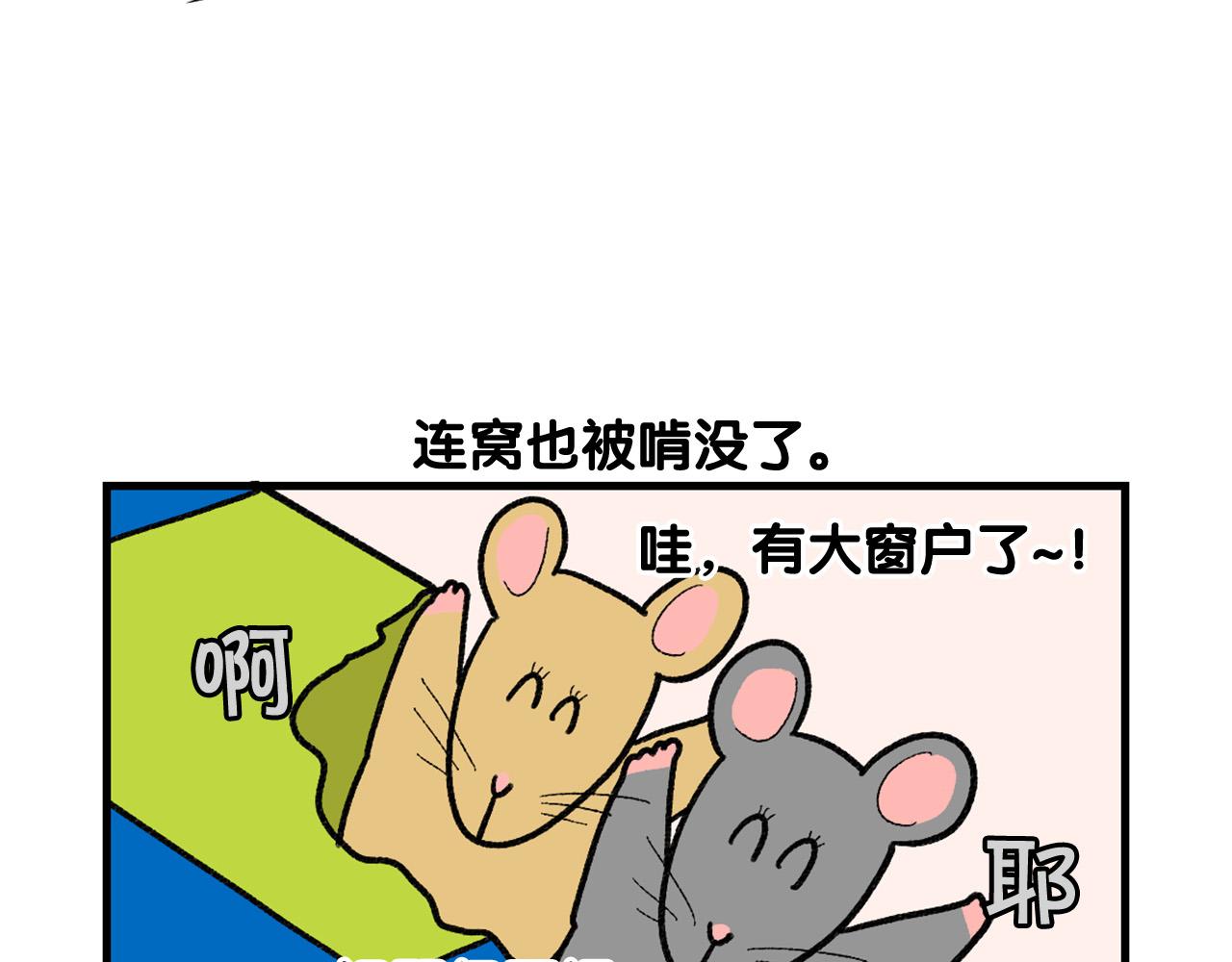 完结篇番外5 请勿随意弃养13