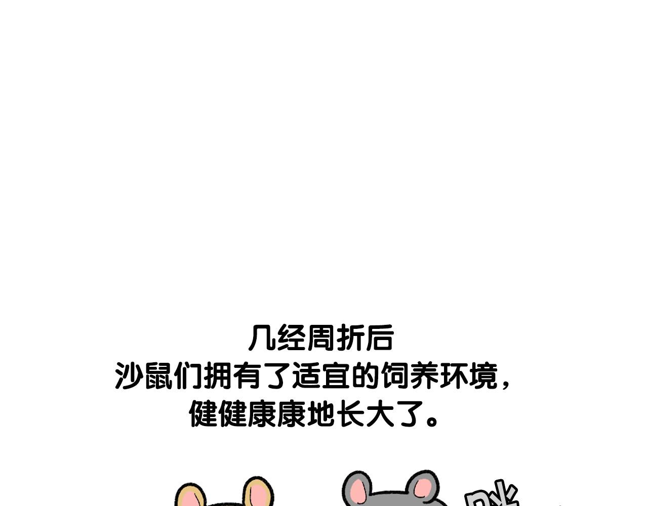 完结篇番外5 请勿随意弃养18