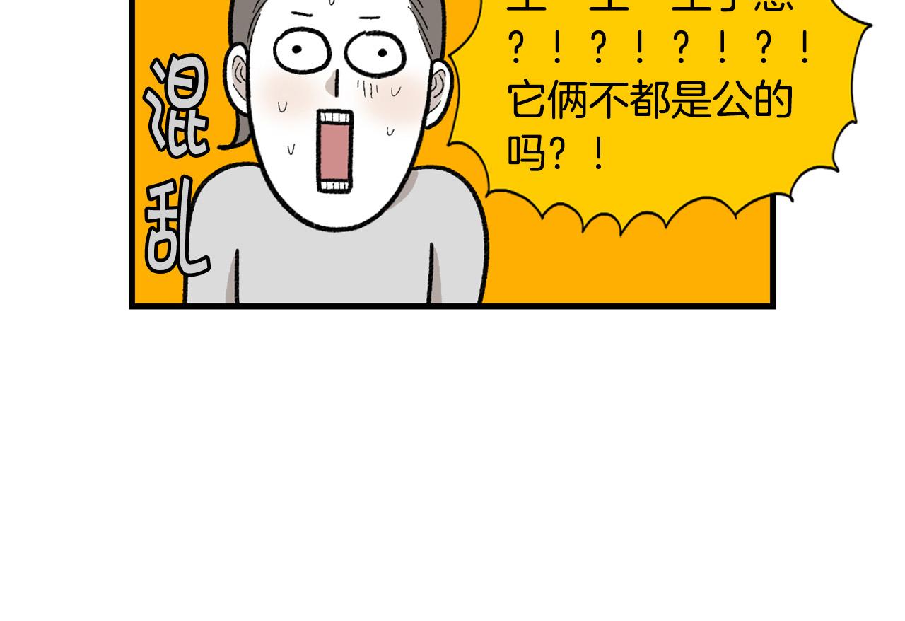 完结篇番外5 请勿随意弃养28