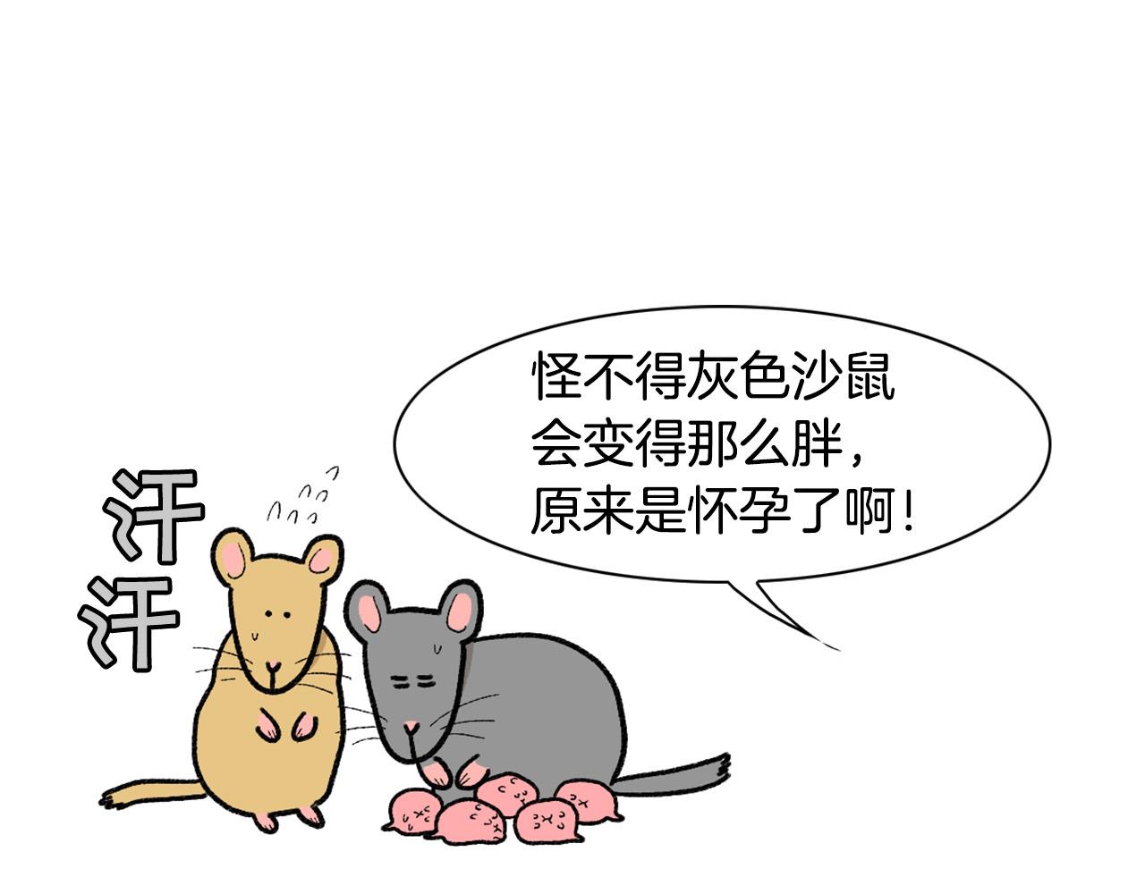 完结篇番外5 请勿随意弃养29
