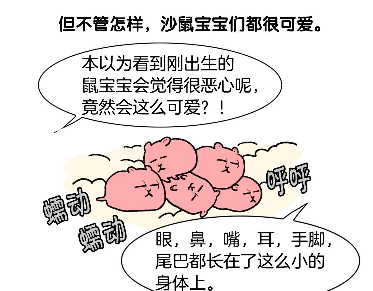 完结篇番外5 请勿随意弃养31