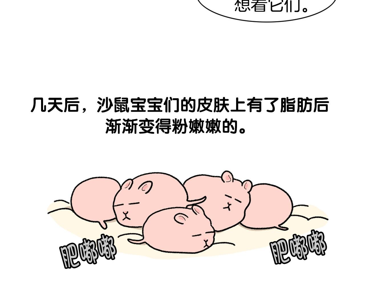 完结篇番外5 请勿随意弃养33