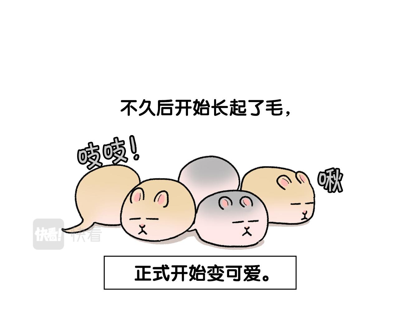 完结篇番外5 请勿随意弃养34