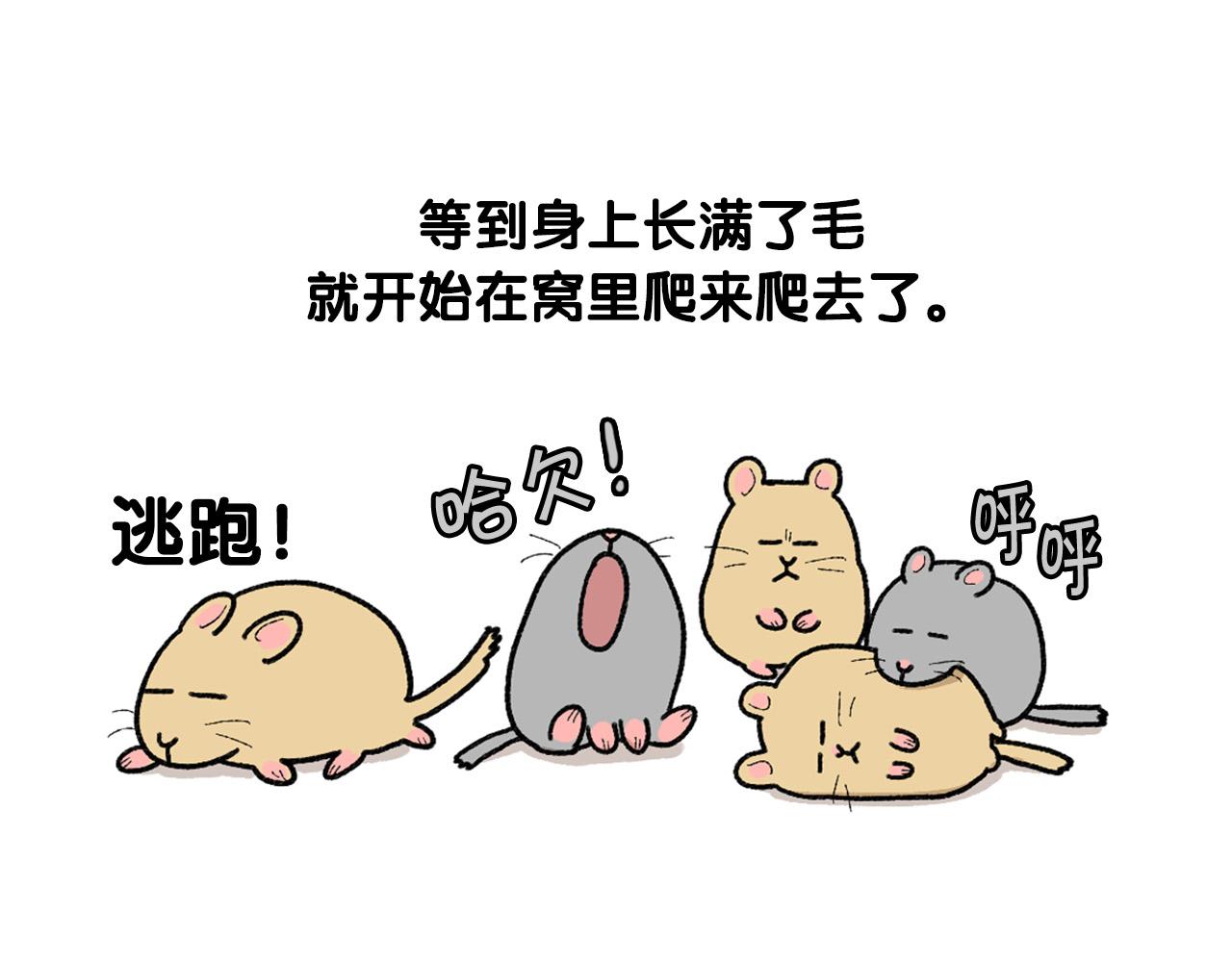 完结篇番外5 请勿随意弃养35