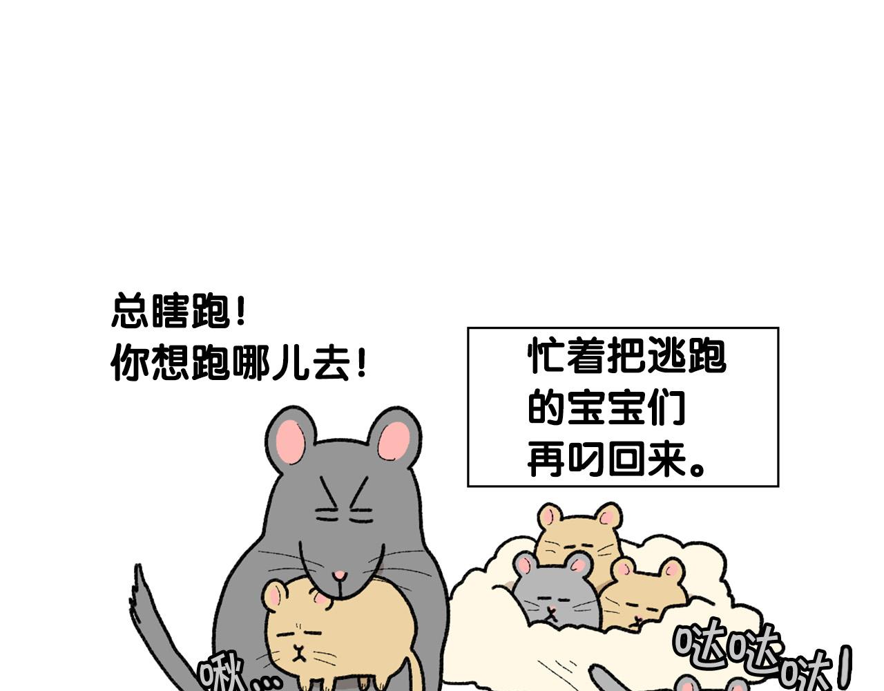 完结篇番外5 请勿随意弃养36