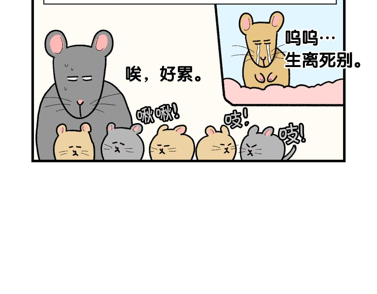完结篇番外5 请勿随意弃养38
