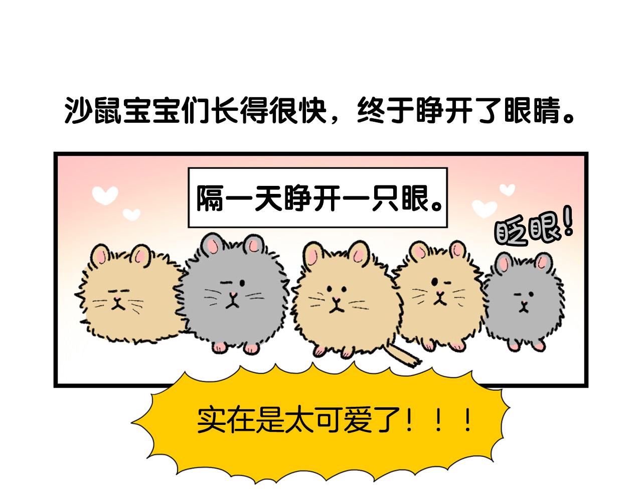 完结篇番外5 请勿随意弃养39