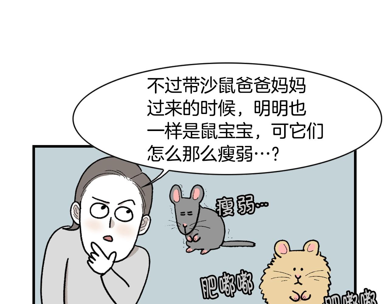 完结篇番外5 请勿随意弃养40
