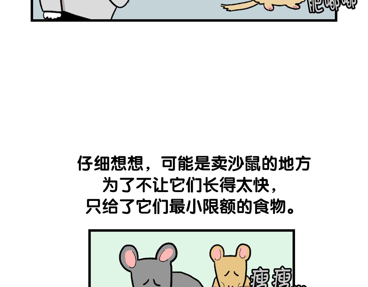 完结篇番外5 请勿随意弃养41