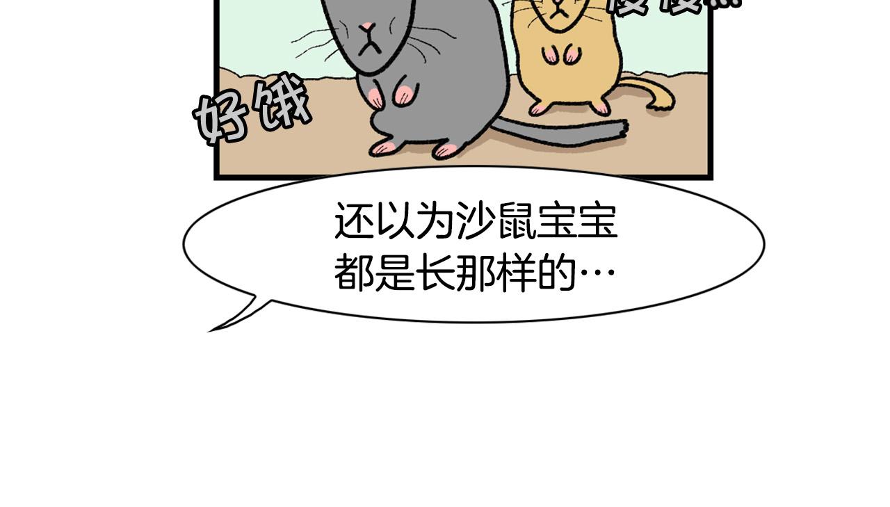 完结篇番外5 请勿随意弃养42