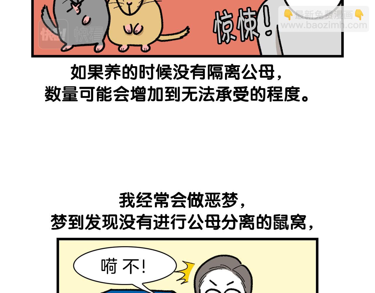 完结篇番外5 请勿随意弃养45