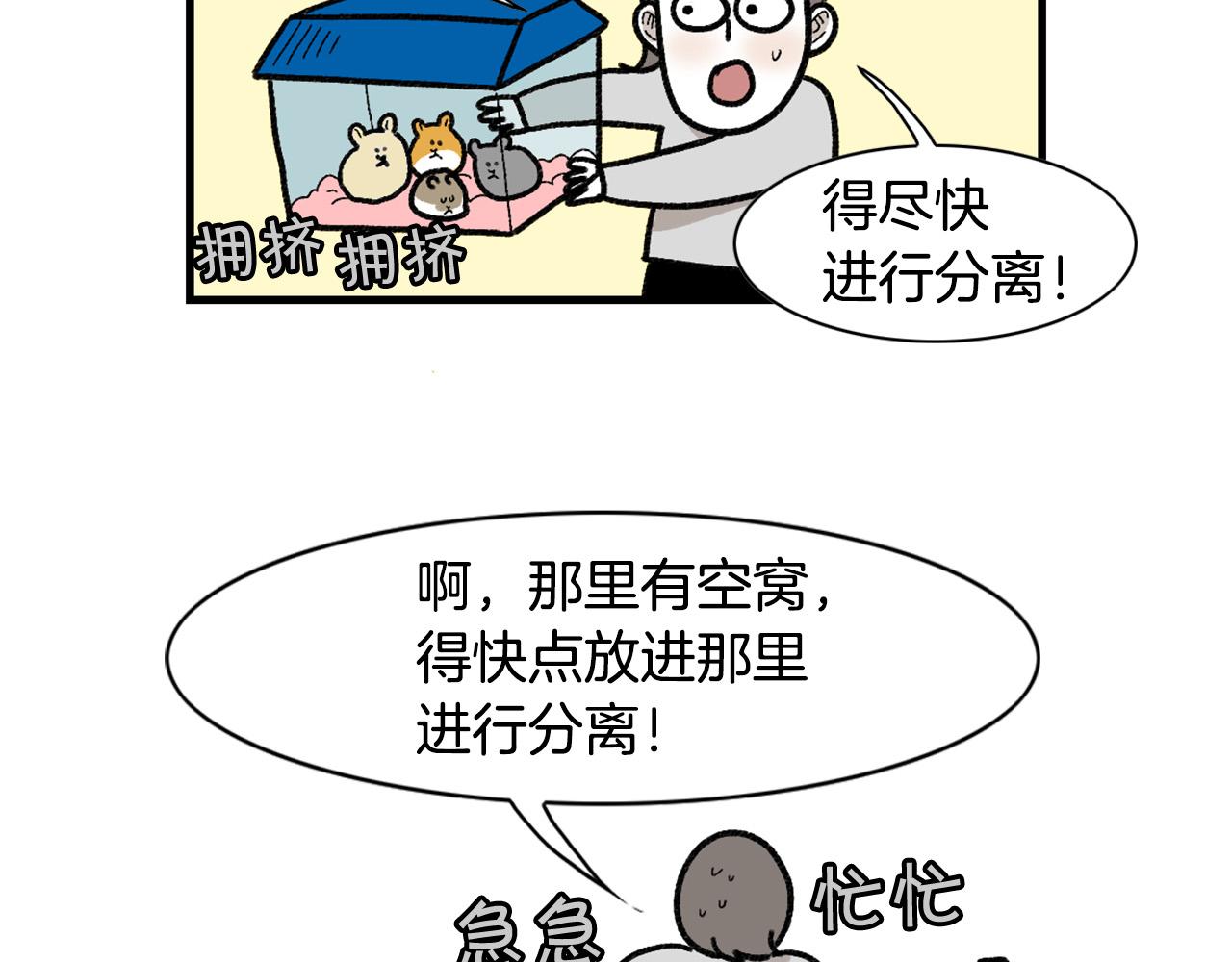 完结篇番外5 请勿随意弃养46