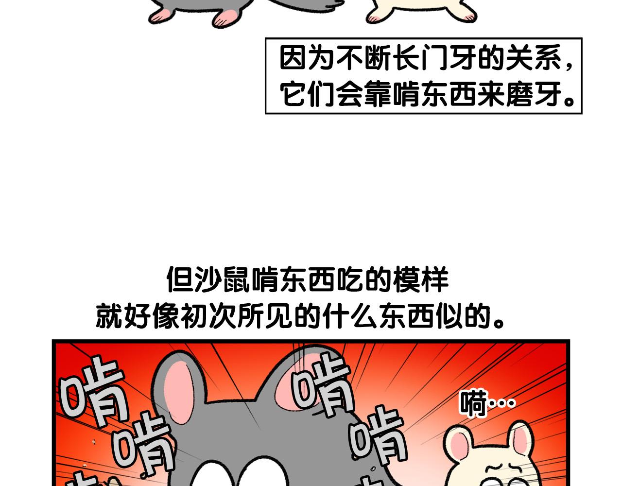 完结篇番外5 请勿随意弃养5