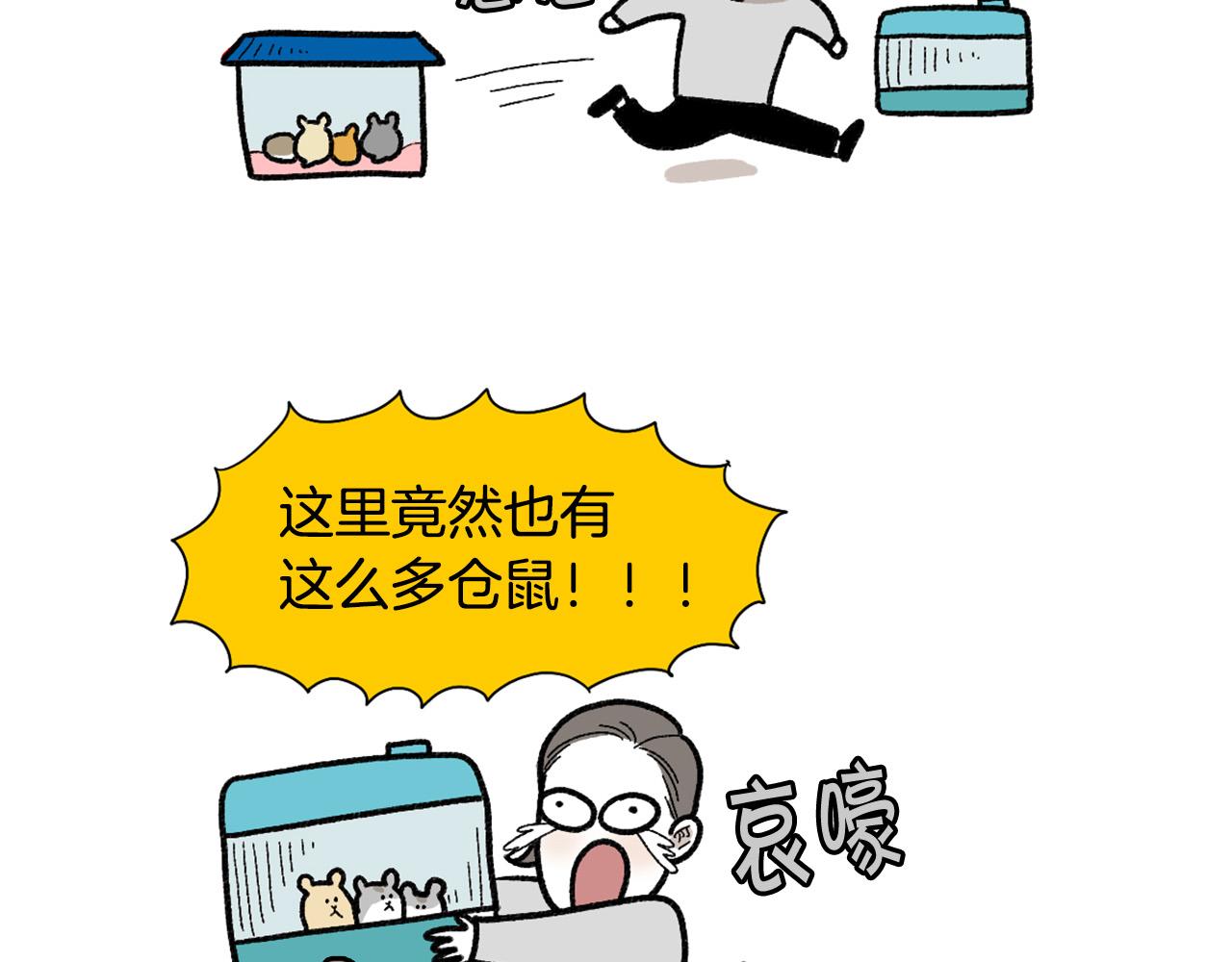 完结篇番外5 请勿随意弃养51