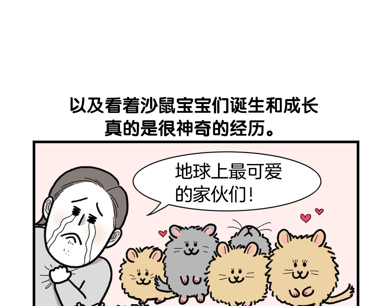 完结篇番外5 请勿随意弃养57
