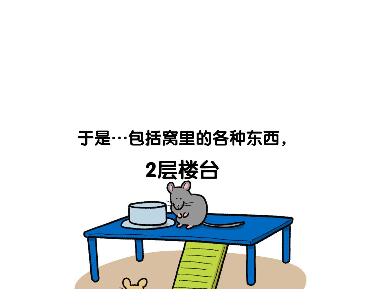 完结篇番外5 请勿随意弃养8