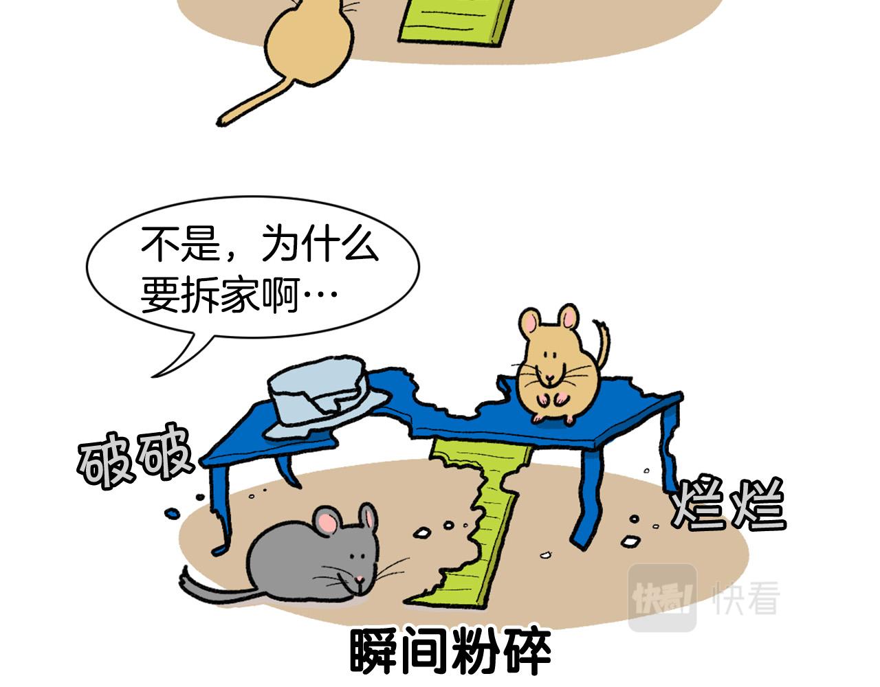 完结篇番外5 请勿随意弃养9