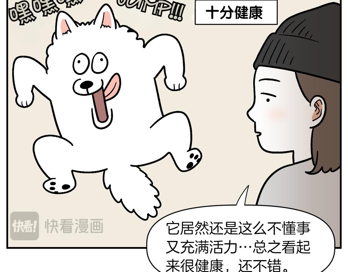 第2季序章 已经是中年狗狗了！10