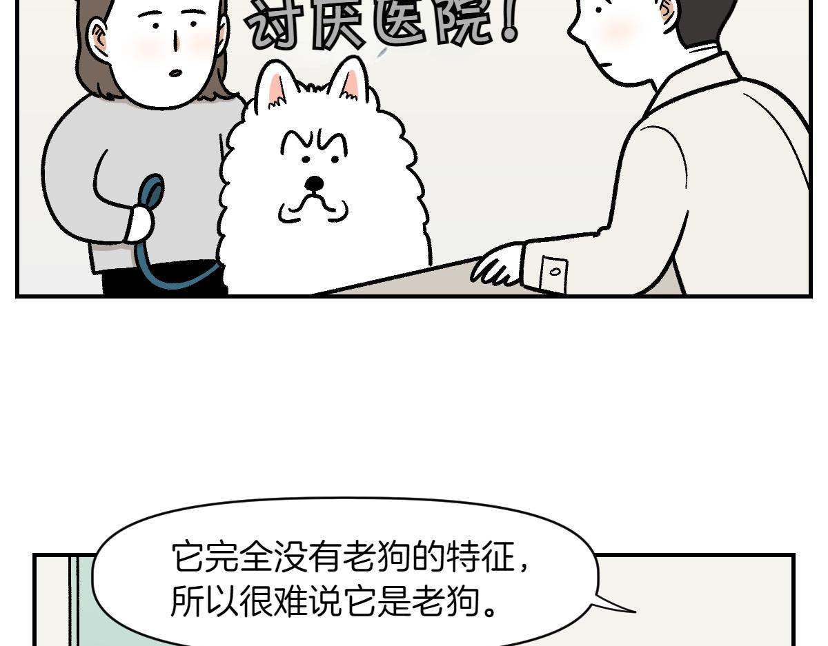 第2季序章 已经是中年狗狗了！12