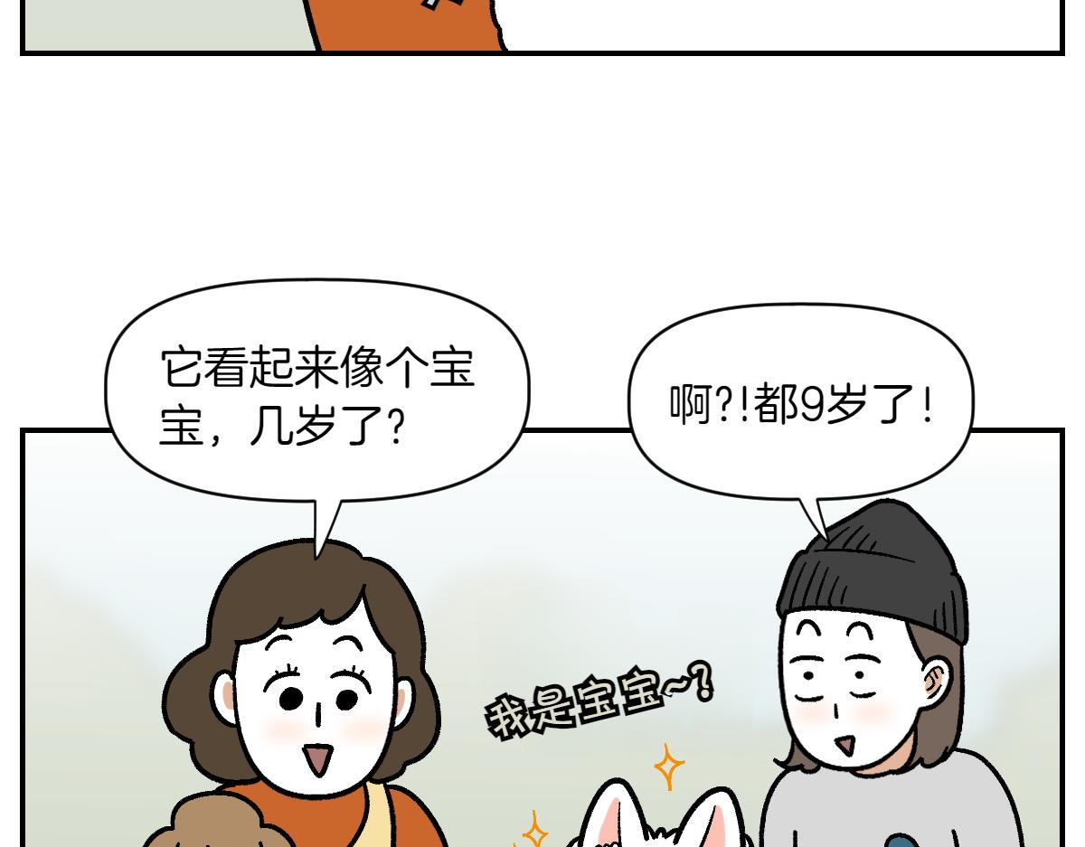 第2季序章 已经是中年狗狗了！18