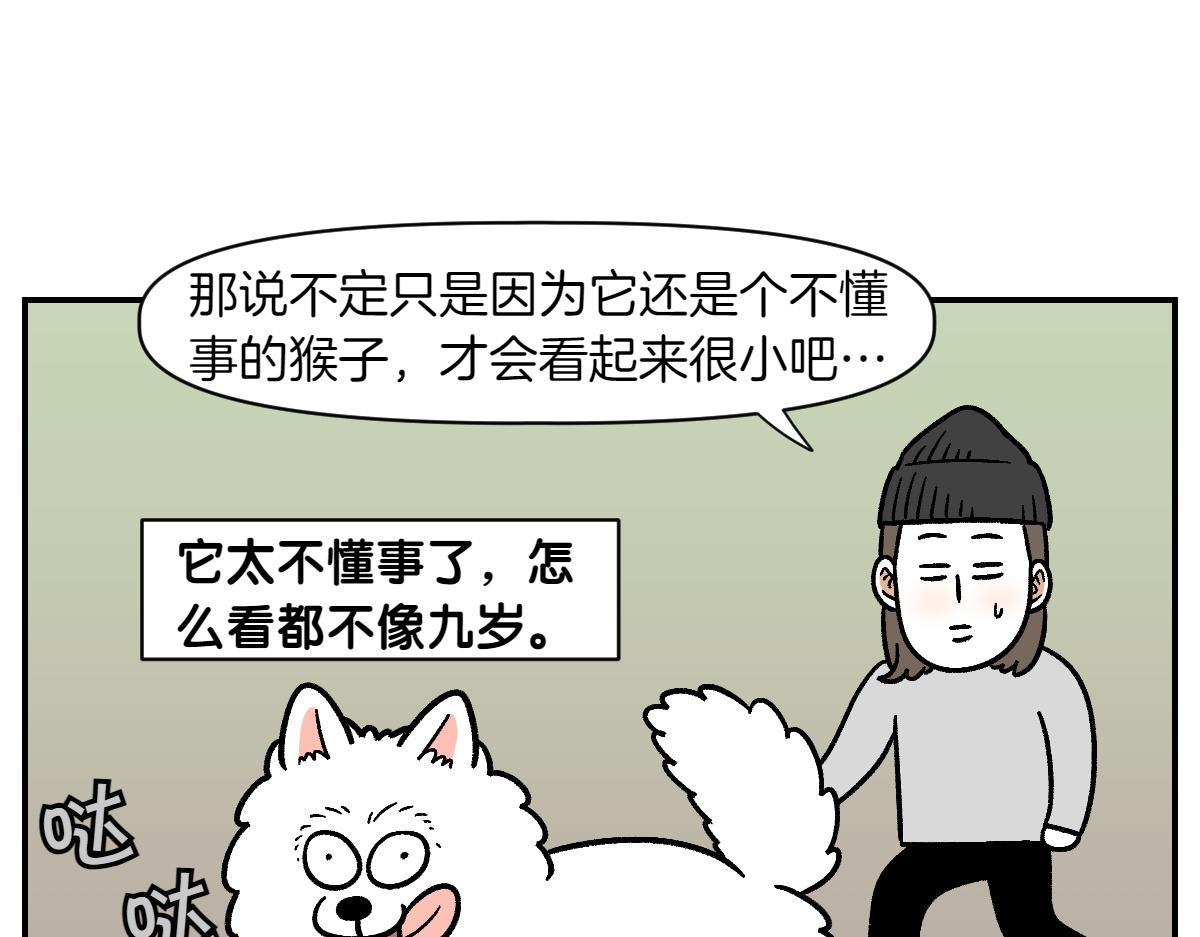 第2季序章 已经是中年狗狗了！27