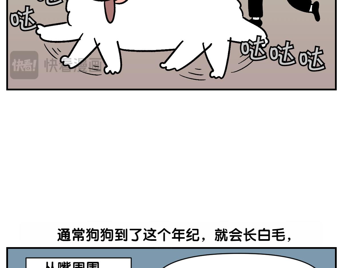 第2季序章 已经是中年狗狗了！28