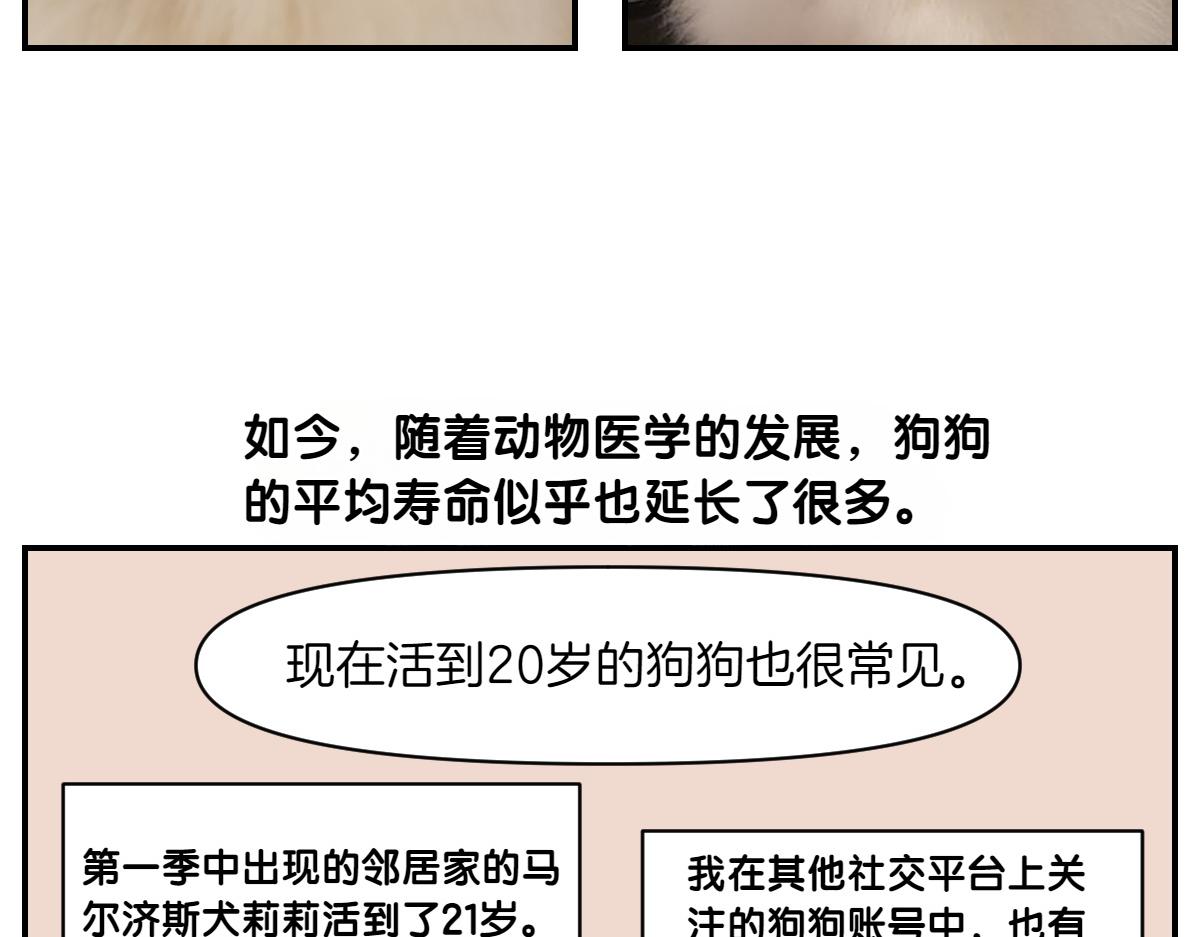 第2季序章 已经是中年狗狗了！34