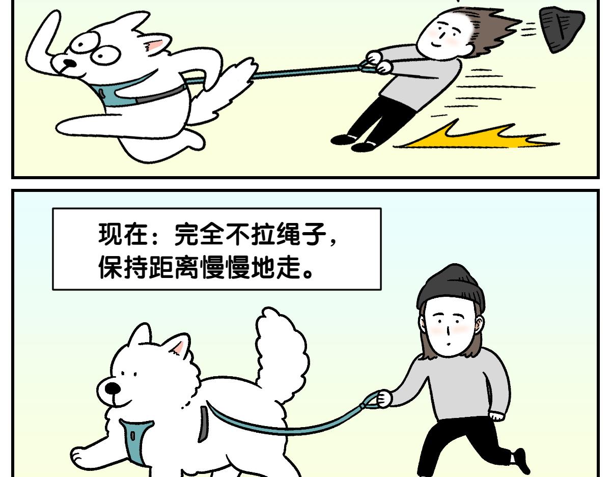 第2季序章 已经是中年狗狗了！39