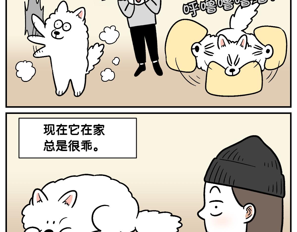 第2季序章 已经是中年狗狗了！43