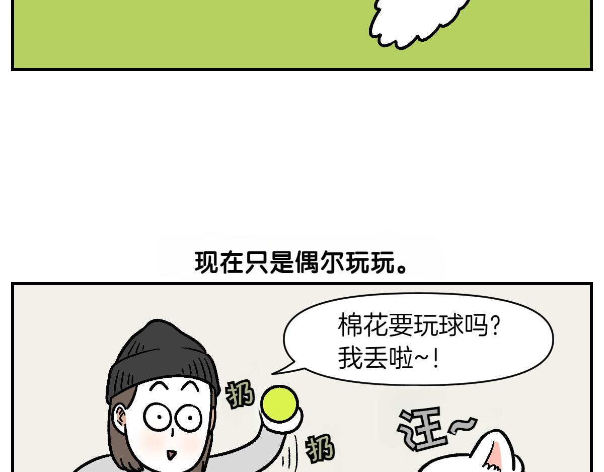 第2季序章 已经是中年狗狗了！46