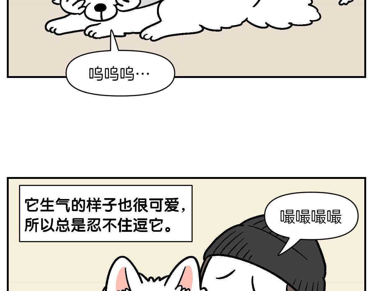 第2季序章 已经是中年狗狗了！58