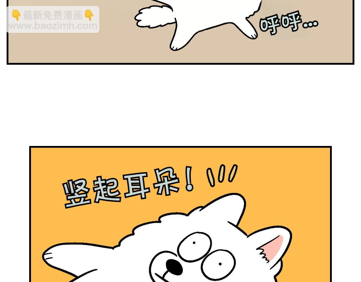 第2季序章 已经是中年狗狗了！61