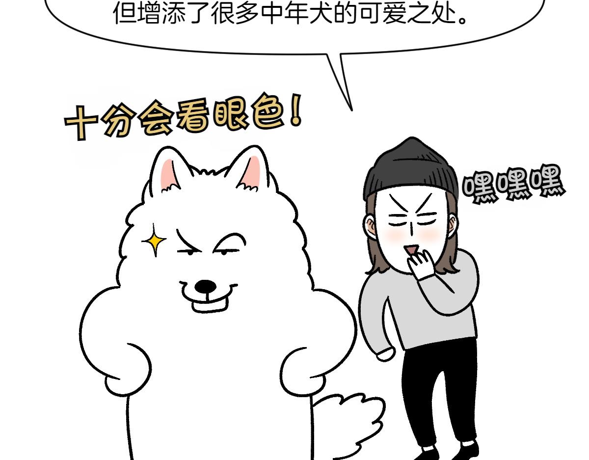 第2季序章 已经是中年狗狗了！88