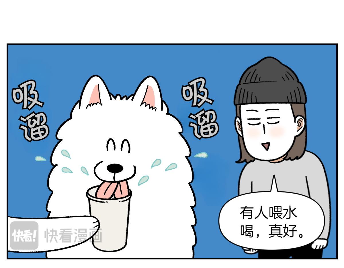 第15话 出版社访问记212