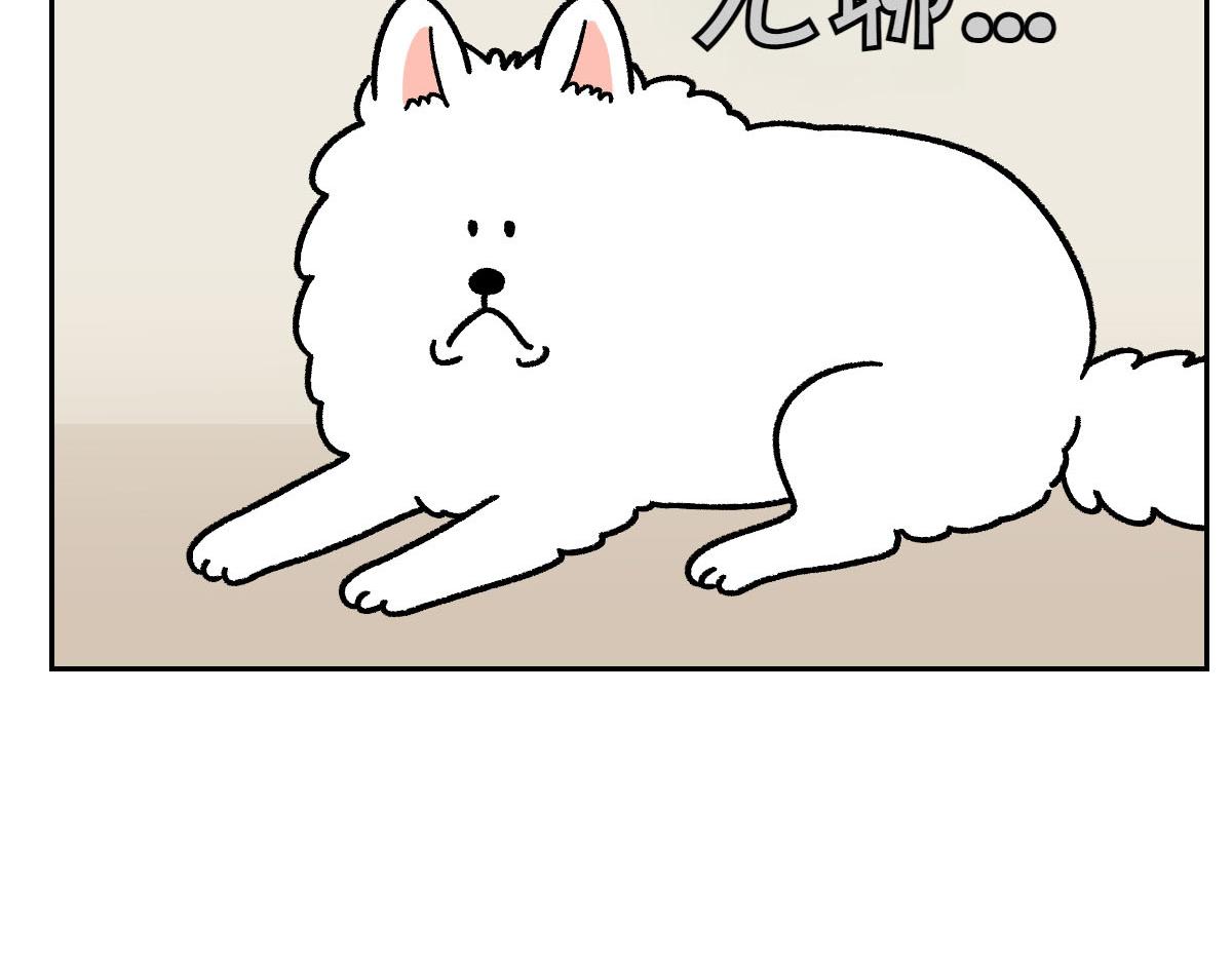 第15话 出版社访问记236