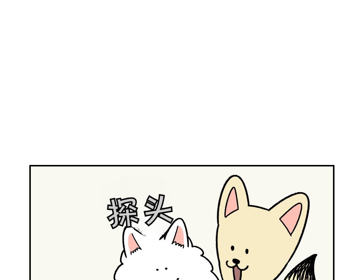 第15话 出版社访问记242