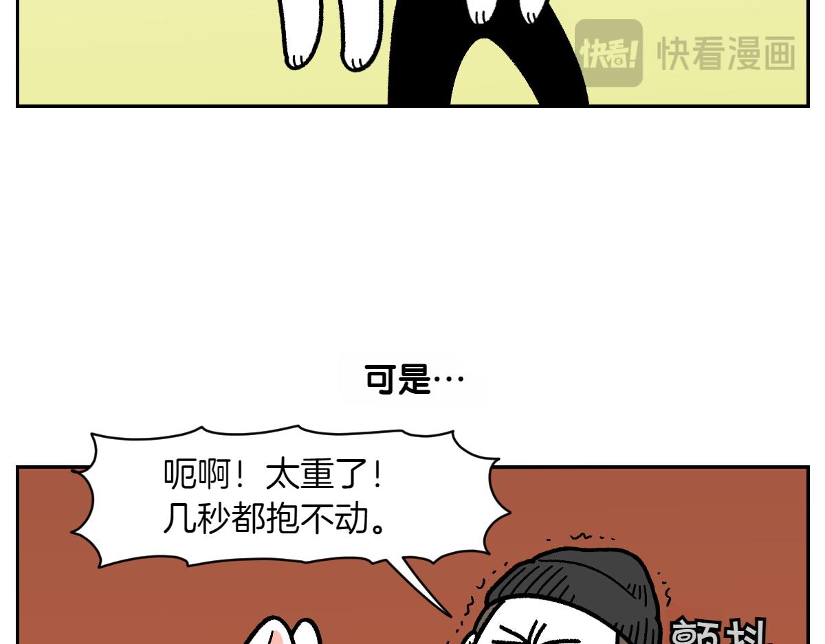 第17话 胖狗狗212