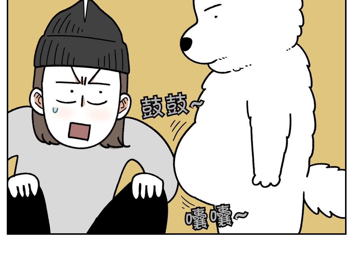 第17话 胖狗狗217