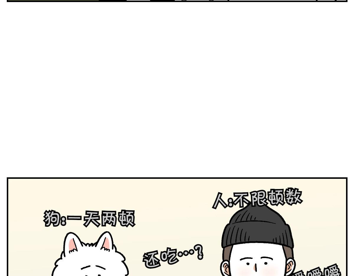 第17话 胖狗狗242